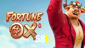 Premium Interface 58h